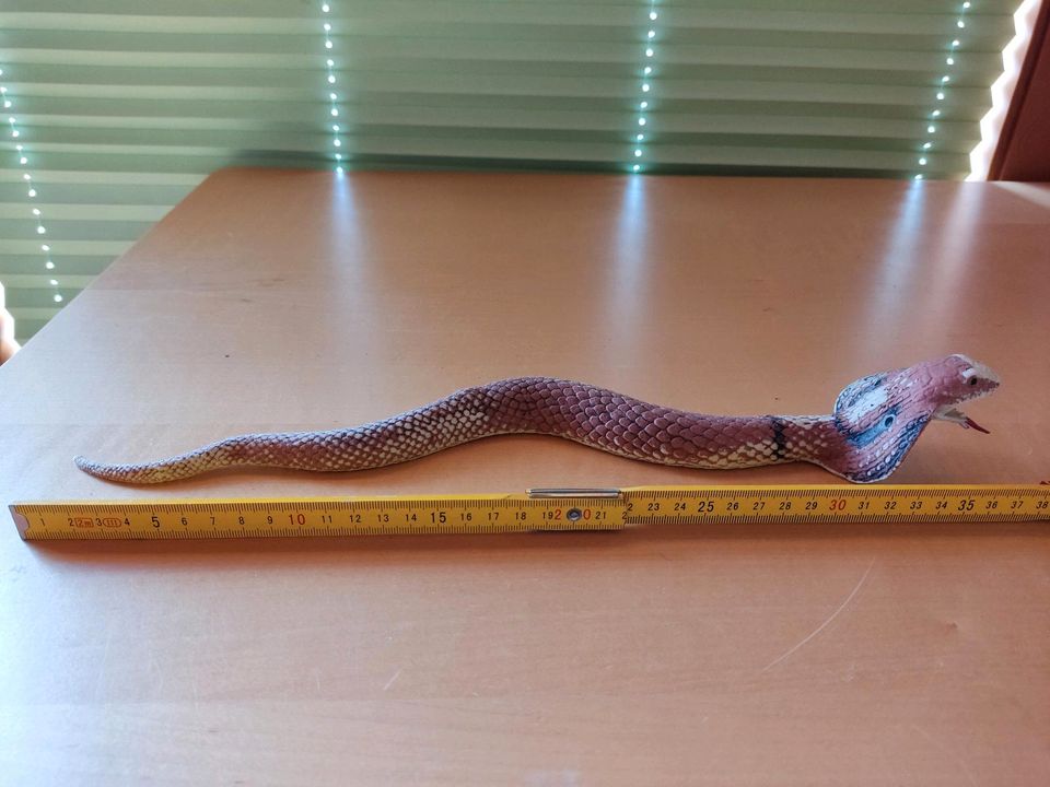 Gummischlange, ca. 40 cm lang in Edling