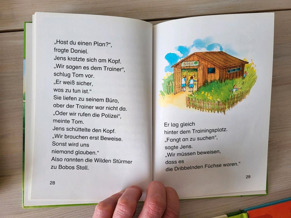Kinderlesebücher 1. und 2. Lesestufe in Husby
