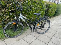 Fahrrad 28 Zoll Essen - Steele Vorschau