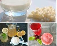 Kefir Wasserkefir Milchkefir Kombucha scobby Rheinland-Pfalz - Beltheim Vorschau