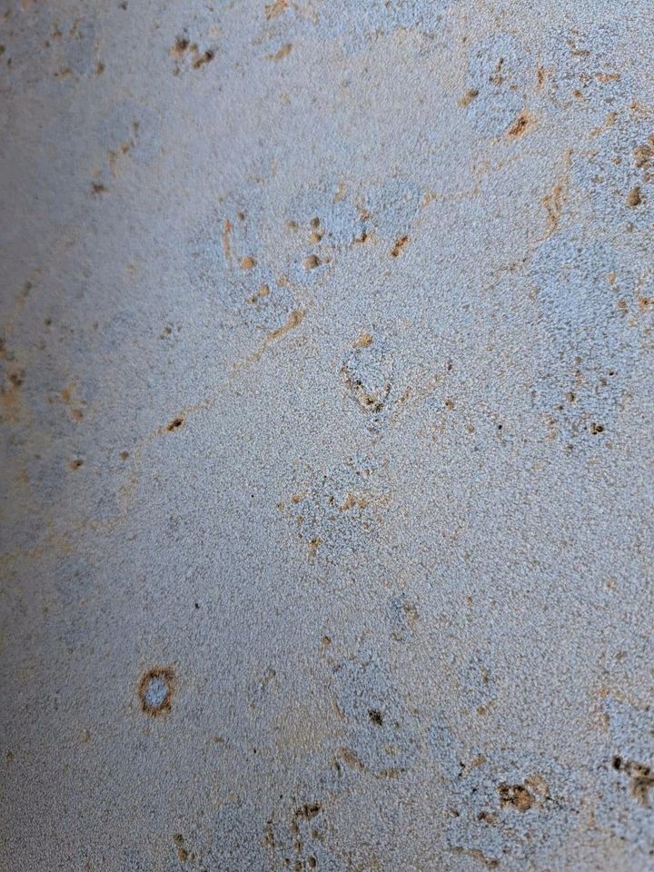 Terrassenplatte Bodenplatten Juramarmor Jura beige 55€/qm in Dettelbach