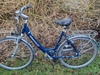 Hercules Fahrrad 28 Zoll Alu Fahrbereit Schleswig-Holstein - Hanerau-Hademarschen Vorschau