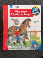Alles über Pferde und Ponys Pferdebuch Ravensburger Bayern - Wielenbach Vorschau