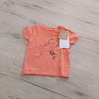 name it ☆ Shirt ☆ Gr. 62 ☆ Baby Junge ☆ Taucher Bär ☆ kurzarm Saarland - Freisen Vorschau