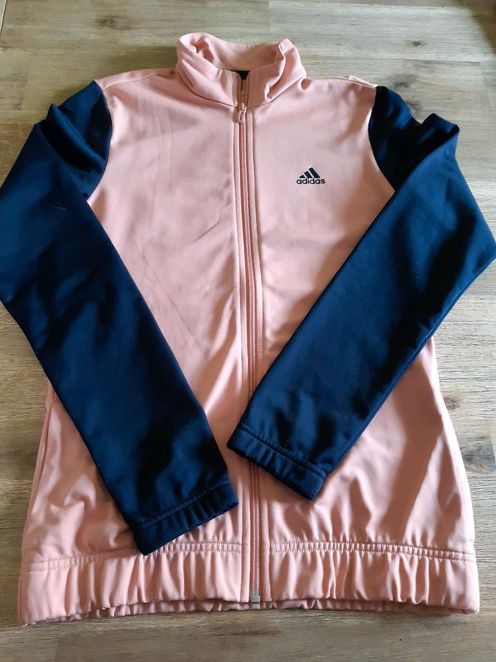 Jogginganzug Adidas Mädchen Größe 164 in Olbernhau