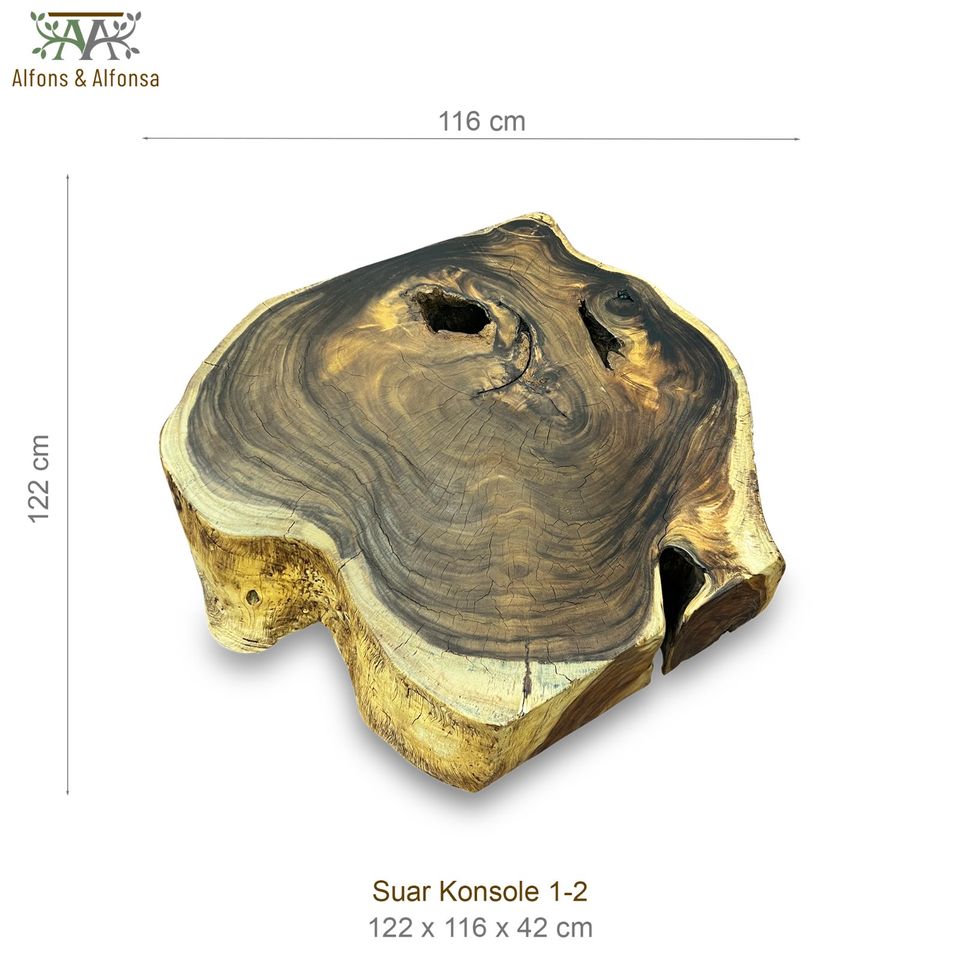 Suar Konsole Baumstammscheibe Sideboard Couchtisch Coffeetable in Marsberg
