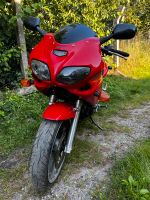 Suzuki SV 650 / V2 Motor / gedrosselt 35 KW Mecklenburg-Vorpommern - Greifswald Vorschau