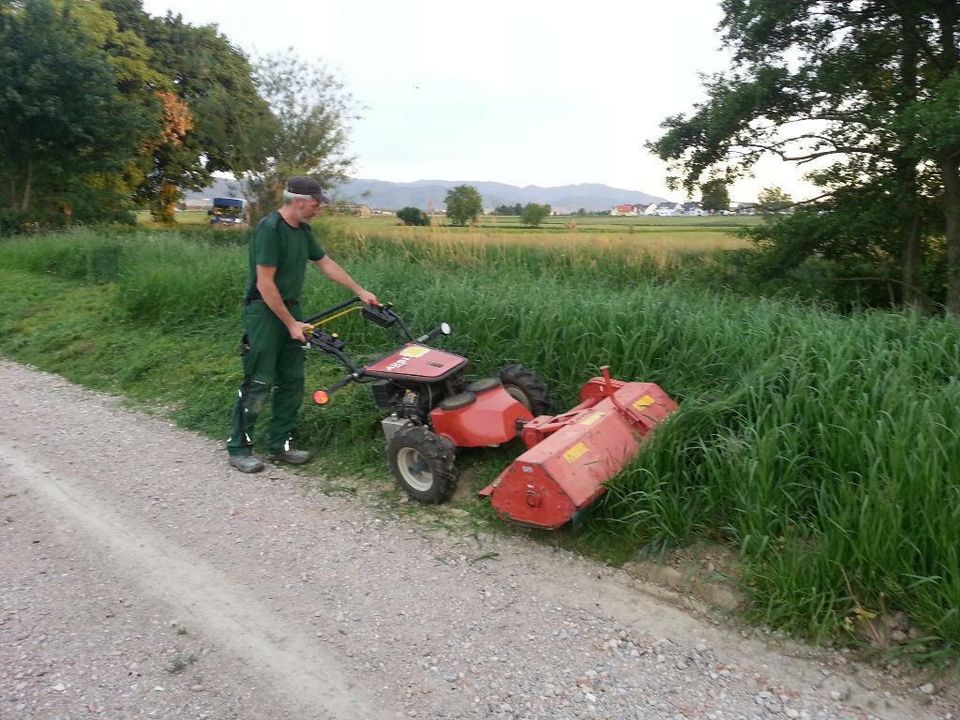 Mulchen/Mähen von  Wiesen Wegrändern Baugrundstücken Brachflächen in Bad Krozingen