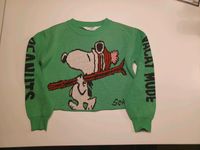 H&M Snoopy Pullover kurz grün warm Weihnachtspulli Gr.146/152 Niedersachsen - Nordhorn Vorschau