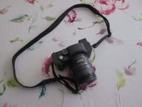 Panasonic Lumix DMC-FZ1 Sachsen-Anhalt - Jessen (Elster) Vorschau