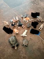 13 Schleich Tiere/Schildkröte/Robbe/Katze/Wellensittich/Hase/Igel Brandenburg - Perleberg Vorschau