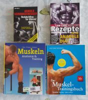 Buch-Set 06 Muskelaufbau Bodybuilding Krafttraining Fitness Baden-Württemberg - Zell am Harmersbach Vorschau