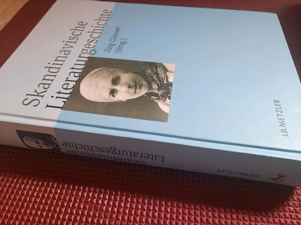 Skandinavische Literaturgeschichte Glauser Studium Skandinavistik in Bamberg