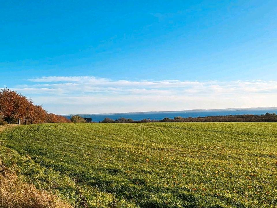 Ferienwohnung Ostsee zwischen Boltenhagen und Wismar ab 66 Euro in Wolfsburg