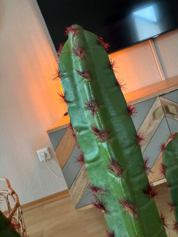 Deko Kaktus in Gütersloh