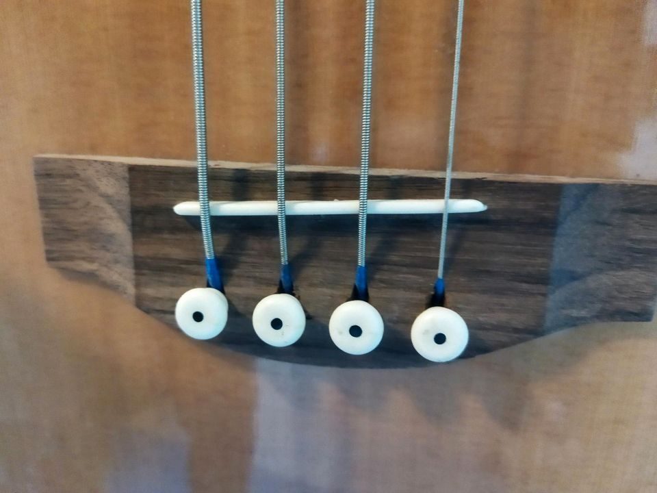 Fretless Bass halbakustisch in Lüdinghausen