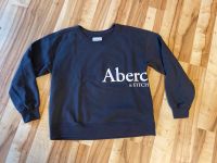 Abercrombie & Fitch Pullover Größe L Rheinland-Pfalz - Waldfischbach-Burgalben Vorschau