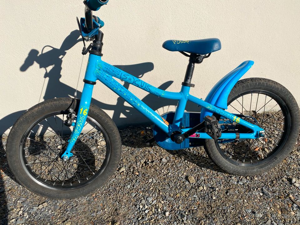 Kinderfahrrad Focus Rookie 16 in Dresden - Trachau | Kinderfahrrad  gebraucht kaufen | eBay Kleinanzeigen ist jetzt Kleinanzeigen