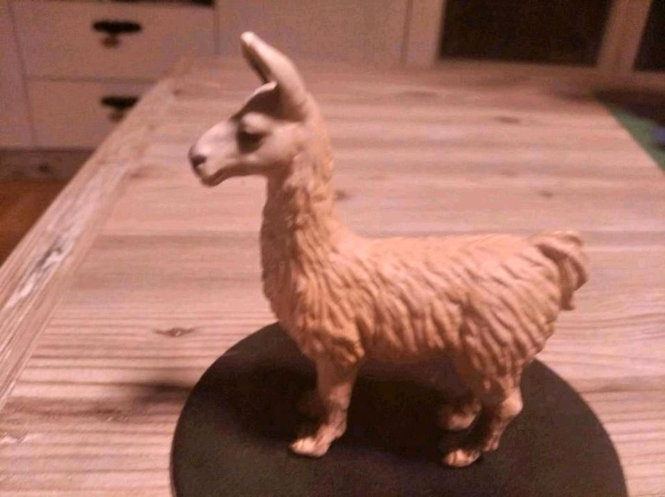 Schleich Lama 2001 ähnlich Horst, Rarität selten Sammler in Villingen-Schwenningen