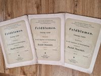 3 Noten-Hefte "Feldblumen" v. R.Hemmleb f.Singstimme m.Kkavier Thüringen - Bad Tennstedt Vorschau
