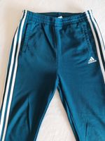 Adidas Jogginghose Jungen preußisch blau Gr. 164 Brandenburg - Brieskow-Finkenheerd Vorschau