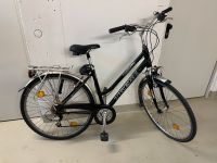 Damenfahrrad Trek T 250 Navigator, Fahrrad Stuttgart - Botnang Vorschau