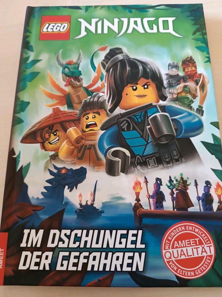 Lego Ninjago Bücher in Hohnstein