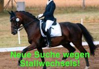 Reitbeteiligung (Pferd sucht Mensch) Hannover - Kirchrode-Bemerode-Wülferode Vorschau