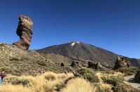 Große Sightseeing-Tour zum Teide und Nord-Teneriffa: Berlin - Steglitz Vorschau