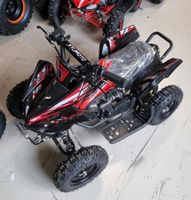 Quad Benzin Seilzugstarter 49CC ( 4 Farben ) Baden-Württemberg - Steinheim an der Murr Vorschau