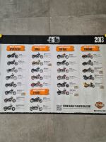 Harley Davidson Anniversary 110 Jahre Modelleposter Baden-Württemberg - Untergruppenbach Vorschau