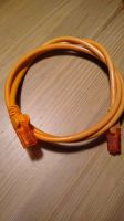 Netzwerkkabel CAT 6 U/UTP, 250 MHz, 1 m, orange, Rastnasenschutz Sachsen-Anhalt - Magdeburg Vorschau