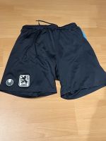 Uhlsport Hose/Short 1860 München Größe S Sachsen - Lichtentanne Vorschau