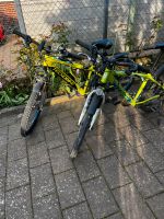 26 Zoll Fahrrad Alurad Compel HT 260 Niedersachsen - Wennigsen Vorschau