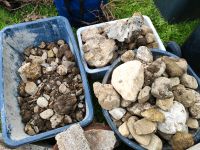 Steine Gartensteine zu verschenken Bayern - Ruhpolding Vorschau