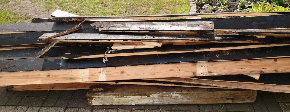 Holz Dach Schalungsbretter zu verschenken in Flensburg