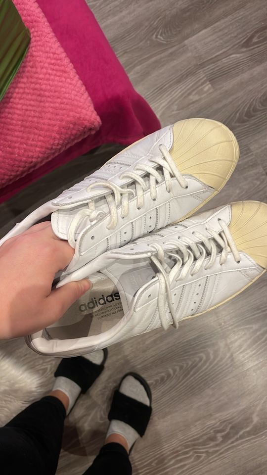 Adidas Superstars in Alsdorf