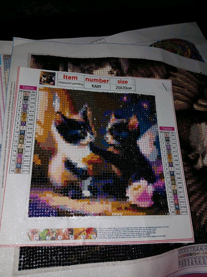 Diamond painting Bilder sind schon fertig auf den Bildern in Döbeln