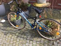 Vantara Damen/Herren Fahrrad französischer Hersteller Schnäppchen Hessen - Aßlar Vorschau