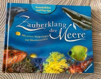 Bilderbuch Sound Pop Up Zauberklang der Meere Spielbuch Niedersachsen - Burgdorf Vorschau