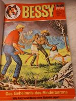 Comic, BESSY, Nr.231 Nordrhein-Westfalen - Iserlohn Vorschau