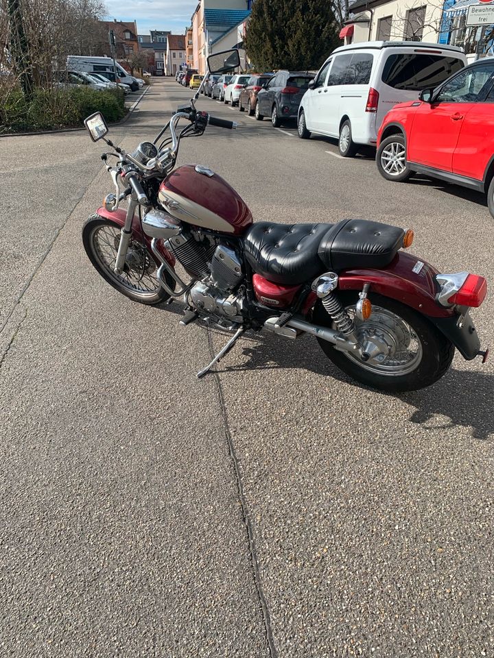 Yamaha Virago 535 in Frankenthal (Pfalz)