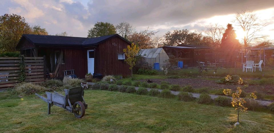 Schrebergarten abzugeben in Bad Segeberg