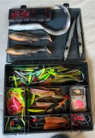 Köderbox (Rapala,Iron trout) Nordrhein-Westfalen - Grevenbroich Vorschau