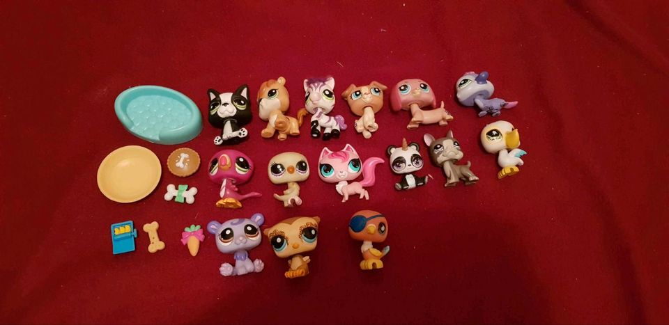 Littlest Pet Shop Figuren in Chemnitz