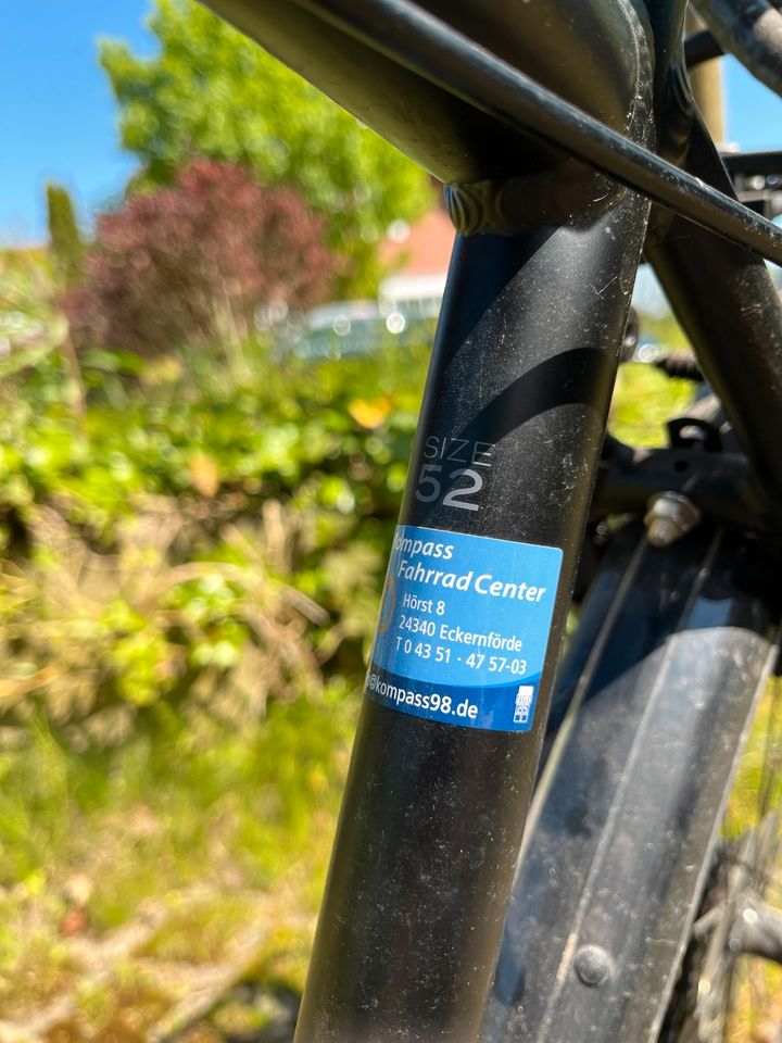 Fahrrad Bergamont in Groß Wittensee