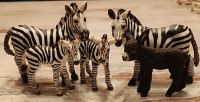 SCHLEICH Zebras und ein Eselchen Bayern - Pfarrkirchen Vorschau