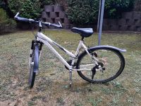 Fahrrad zu verkaufen Schleswig-Holstein - Büdelsdorf Vorschau