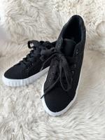 SNEAKER Canvas Gummisohle nur anprobiert Gr. 39 Schwarz Hessen - Darmstadt Vorschau