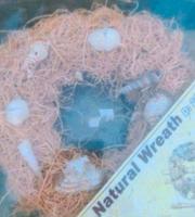 Natur Kranz Muscheln NEU  & OVP 28 cm Durchmesser Leipzig - Dölitz-Dösen Vorschau
